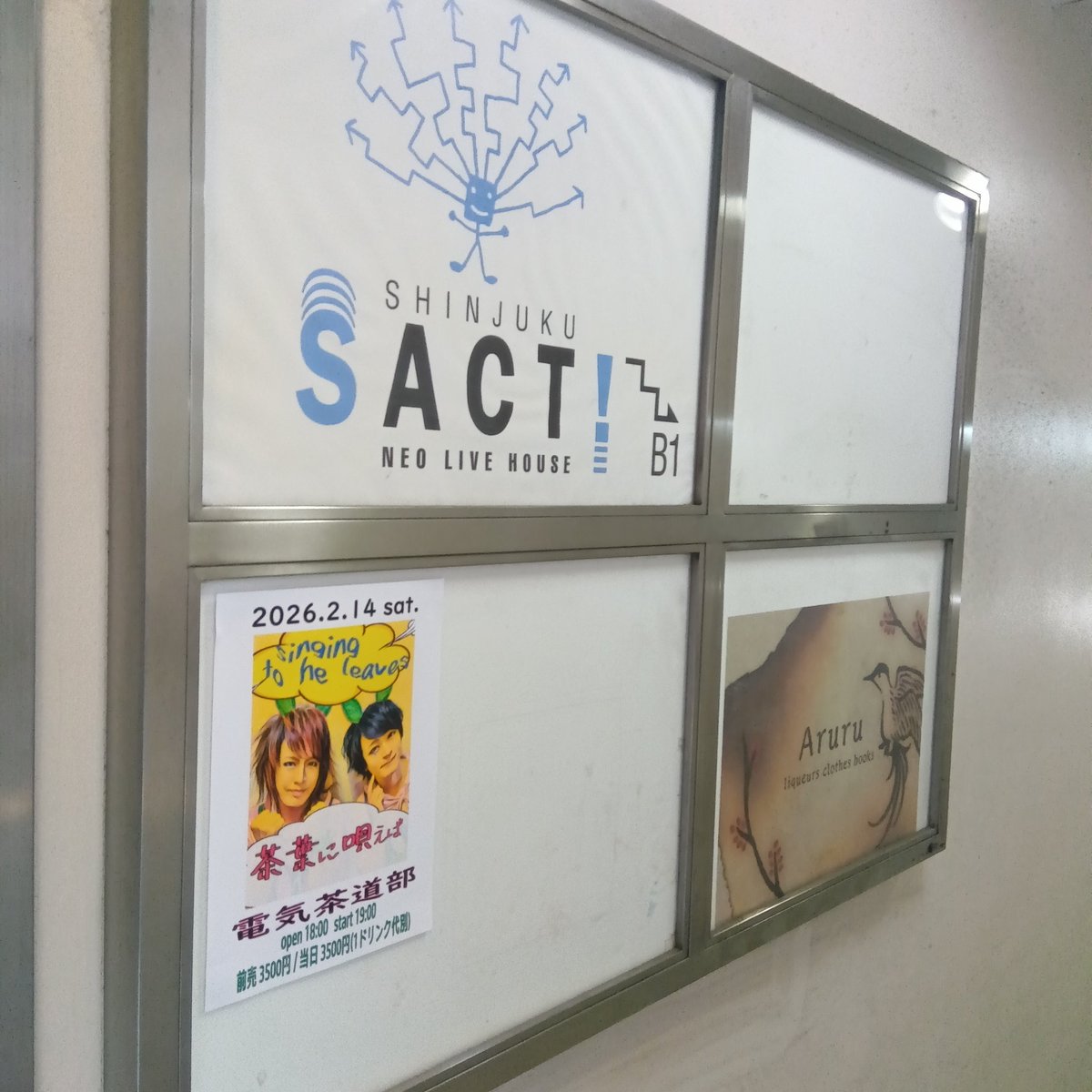 みおれ/電気茶道部. tweet media
