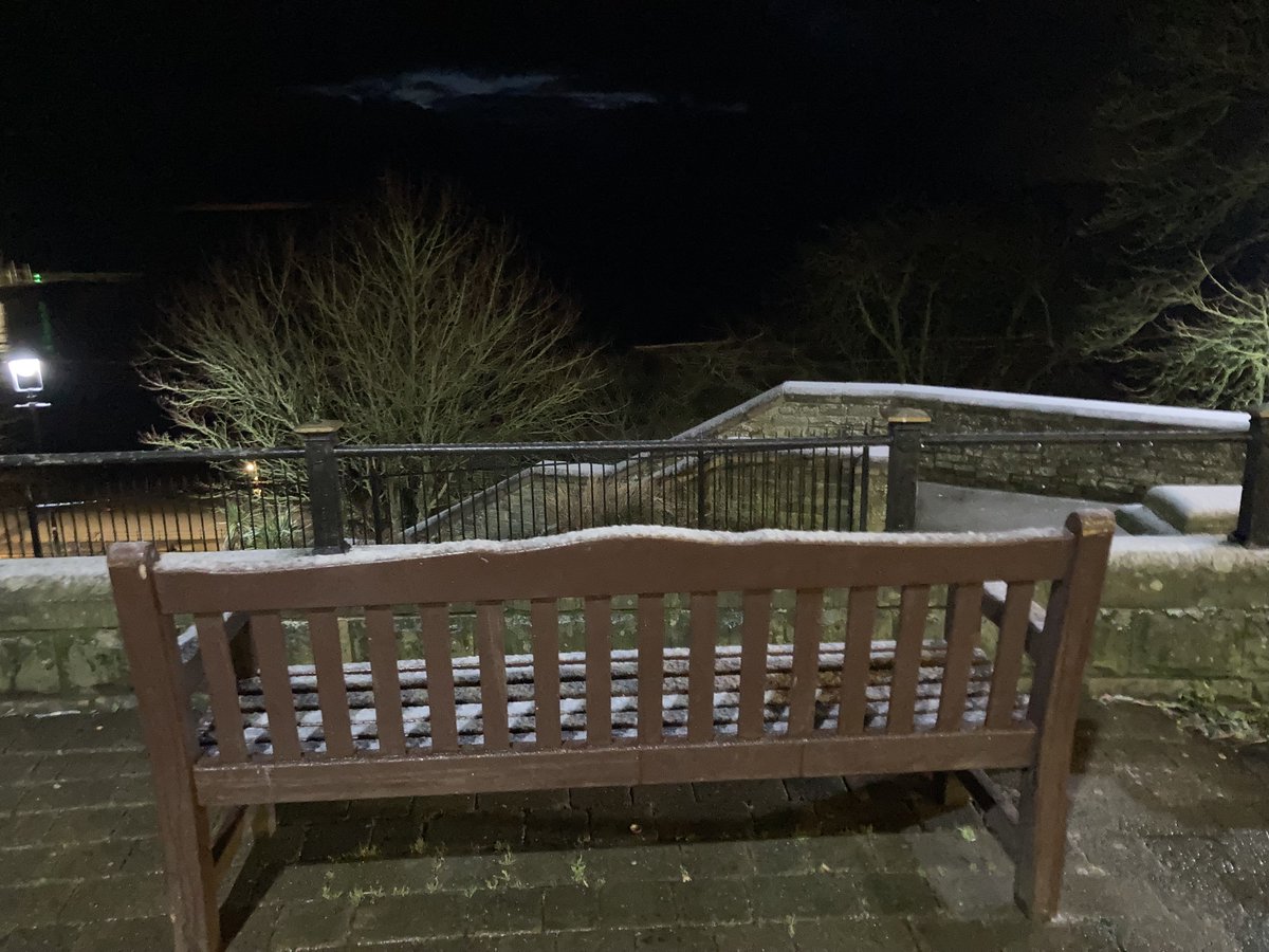 Faith Young Writer tweet media