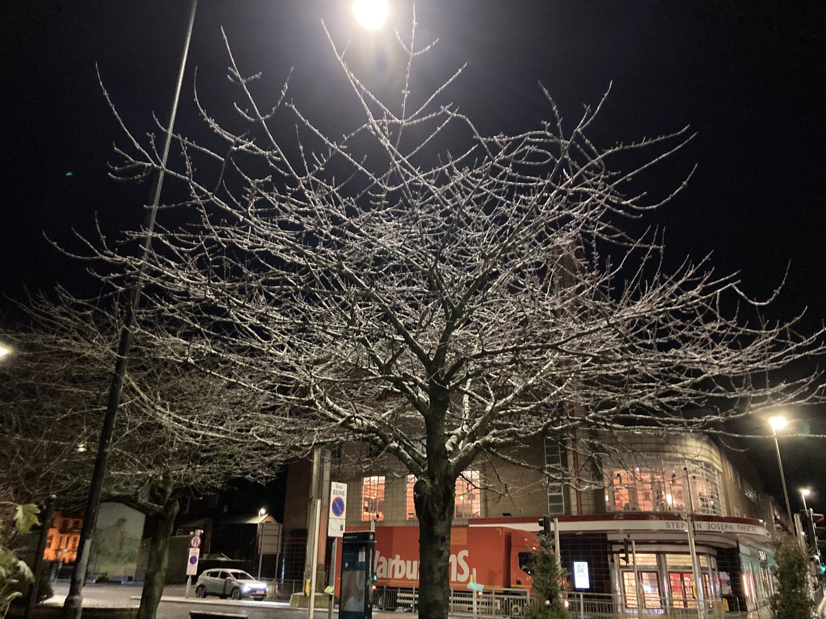 Faith Young Writer tweet media