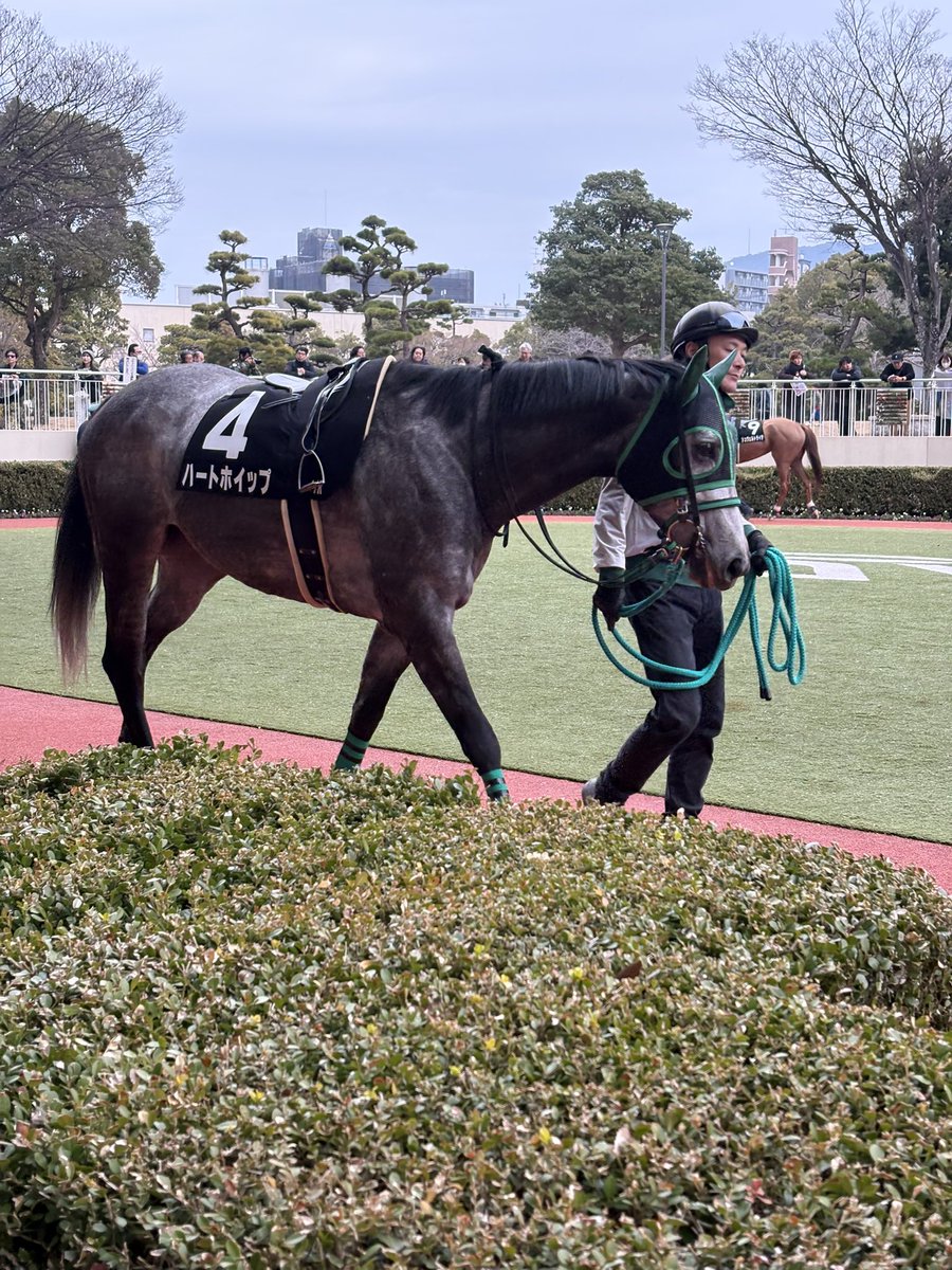 うるう tweet media