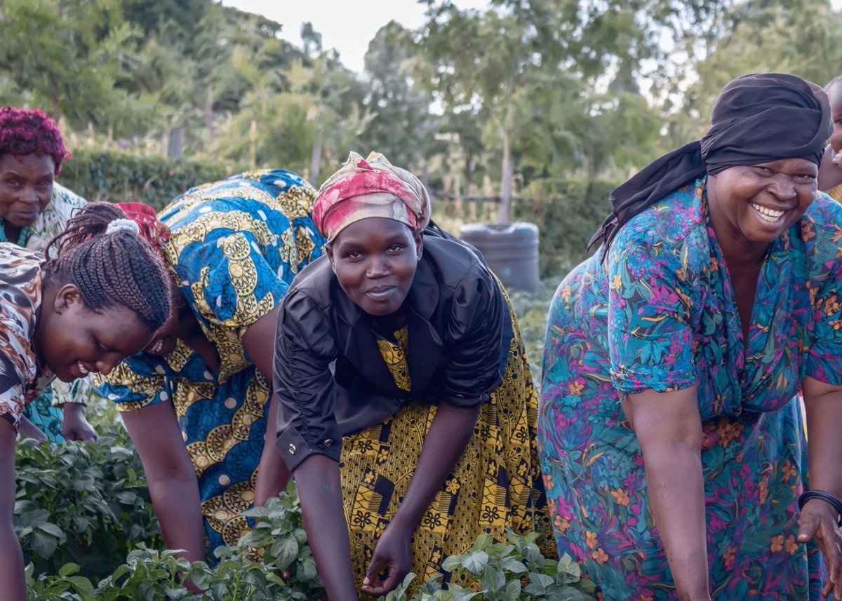 IFDC East and Southern Africa (ARCHIVED) tweet media