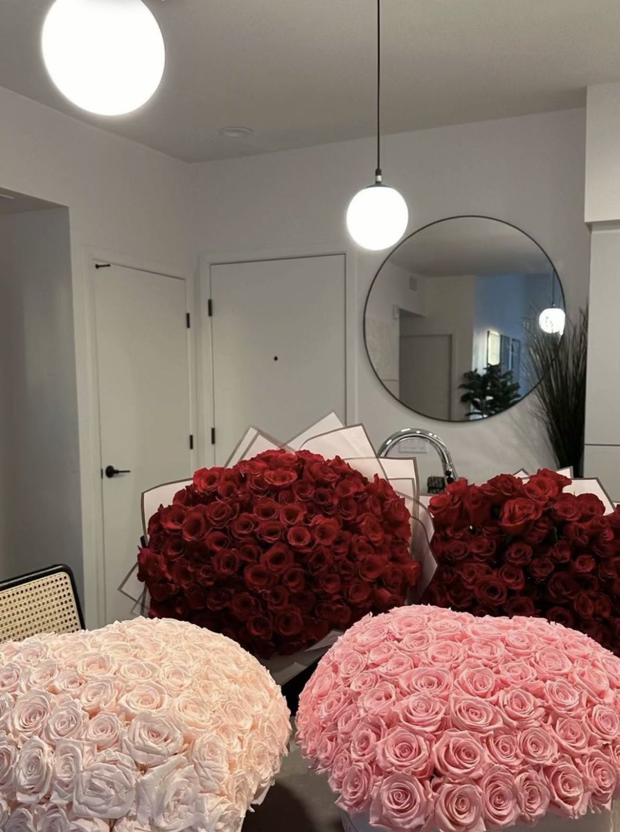 Stephanie tweet media