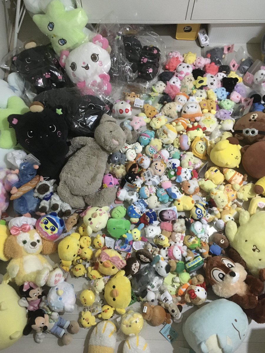 kkuuyoming's tweet photo. 인형정리하다 번아웃옴,,,,,,,,,,, https://t.co/Oqcfrzf279