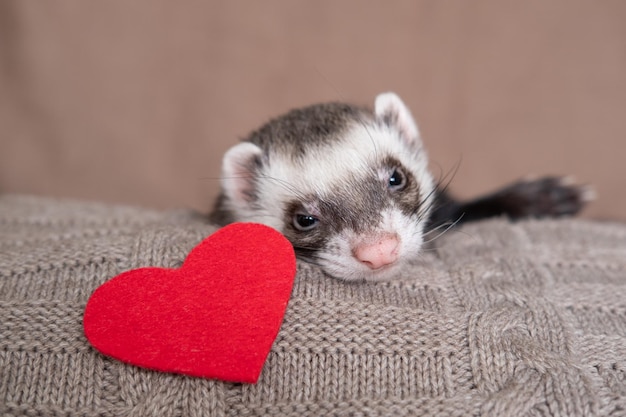 happy valentine's day 🫶🏻💝