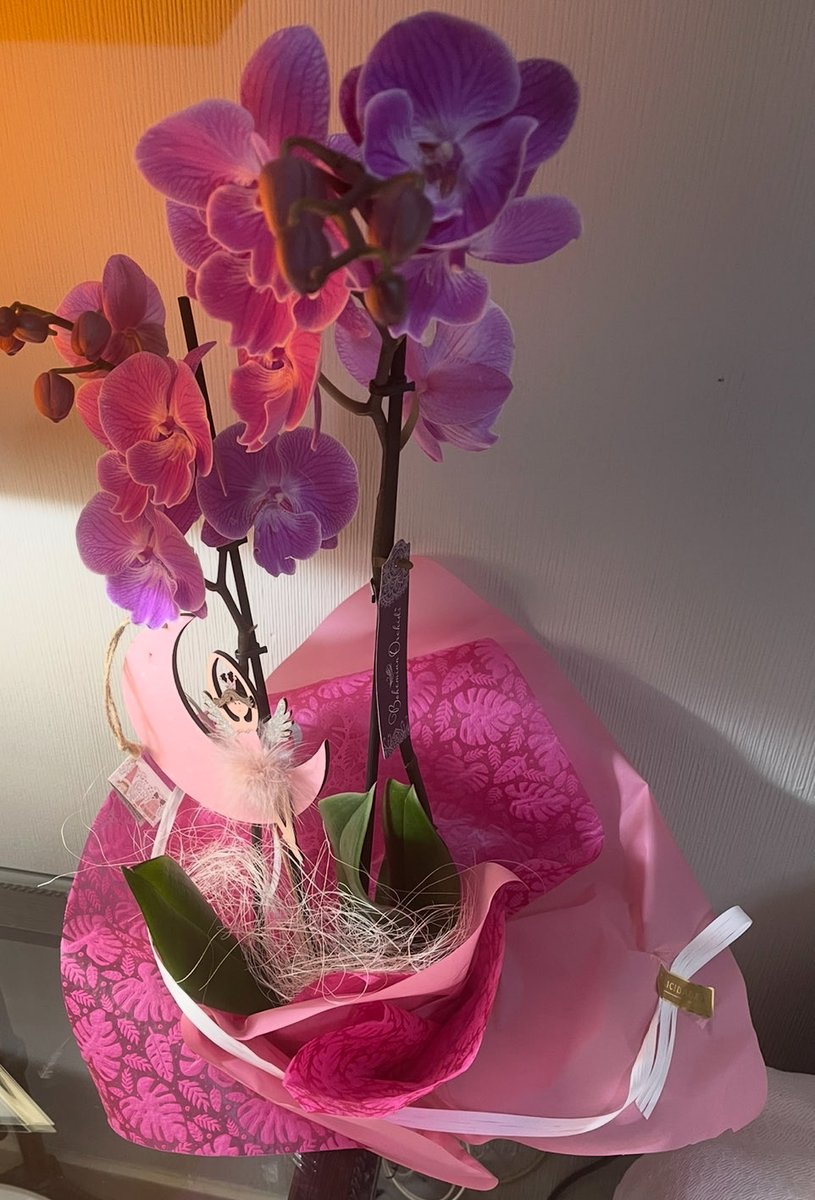 ❤️ Feliz día de San Valentín