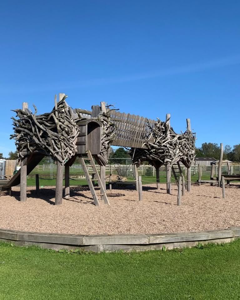 Matlock Farm Park tweet media