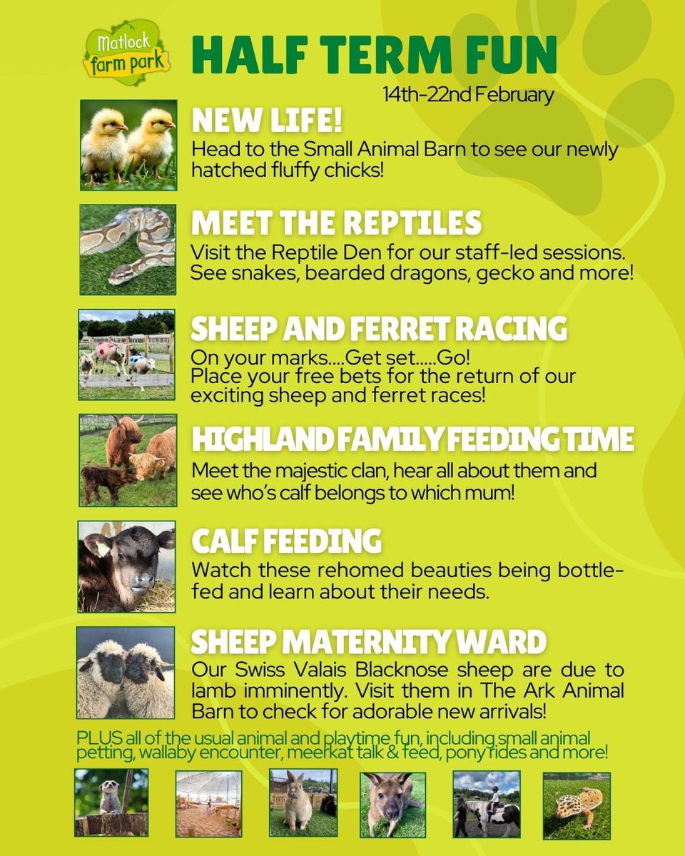 Matlock Farm Park tweet media