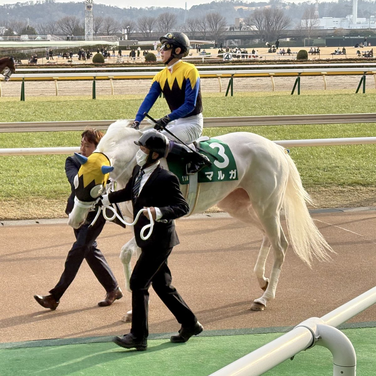 マルガ綺麗だなぁ✨✨✨ 引いてた方振り切ってたけど笑