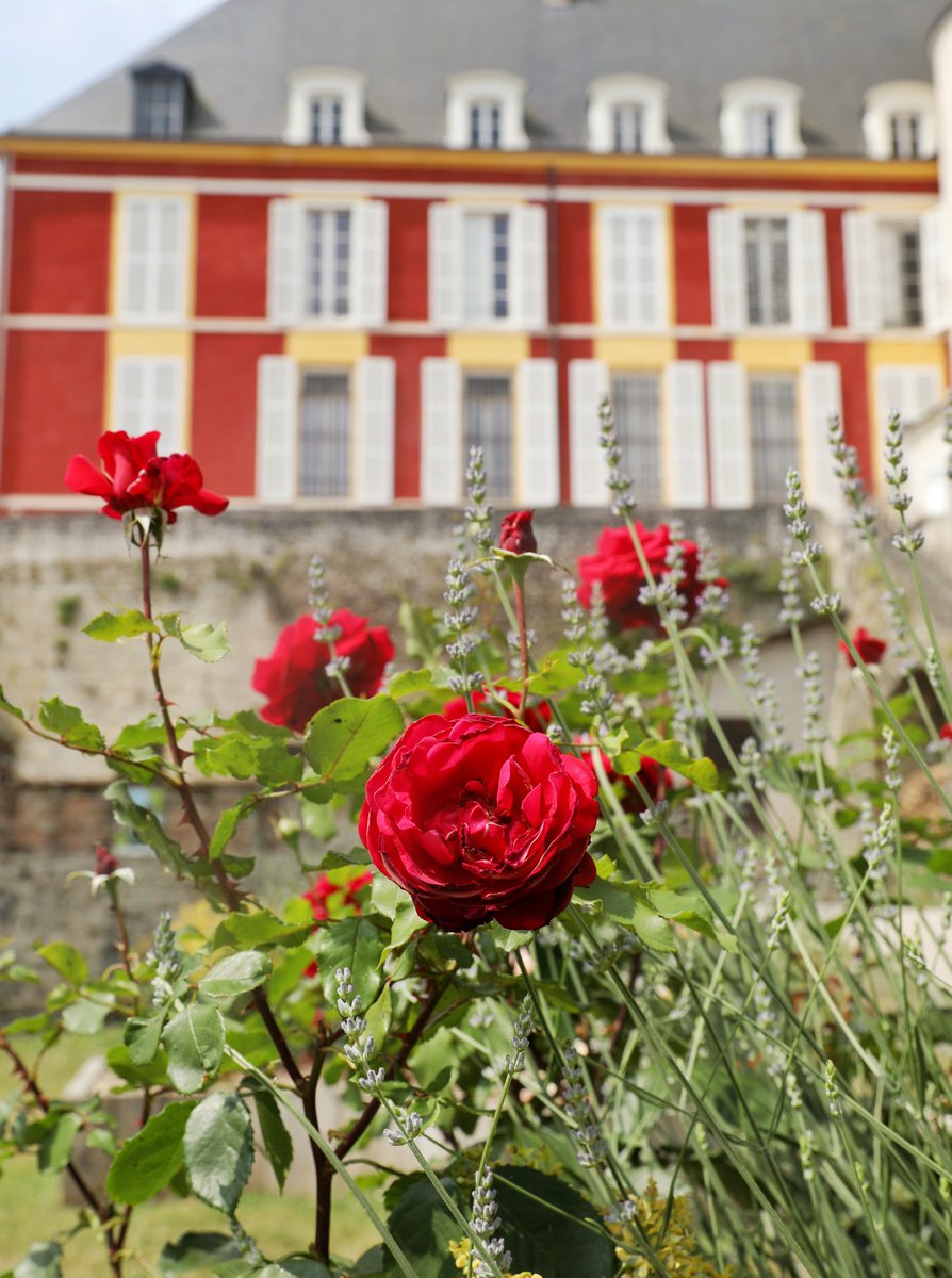 🔵 𝗩𝗶𝘃𝗲 𝗹𝗲𝘀 𝗮𝗺𝗼𝘂𝗿𝗲𝘂𝘅, 𝘃𝗶𝘃𝗲 𝗹'𝗮𝗺𝗼𝘂𝗿 ! 💟
Aujourd'hui, nous célébrons l'amour comme il se doit en vous faisant un petit cadeau : venez à 2, payez pour 1 ! Oui, vous avez bien lu... 💙🩵💙 #SaintValentin #SaintValentin2026

🌐 bit.ly/BilletterieMeu…