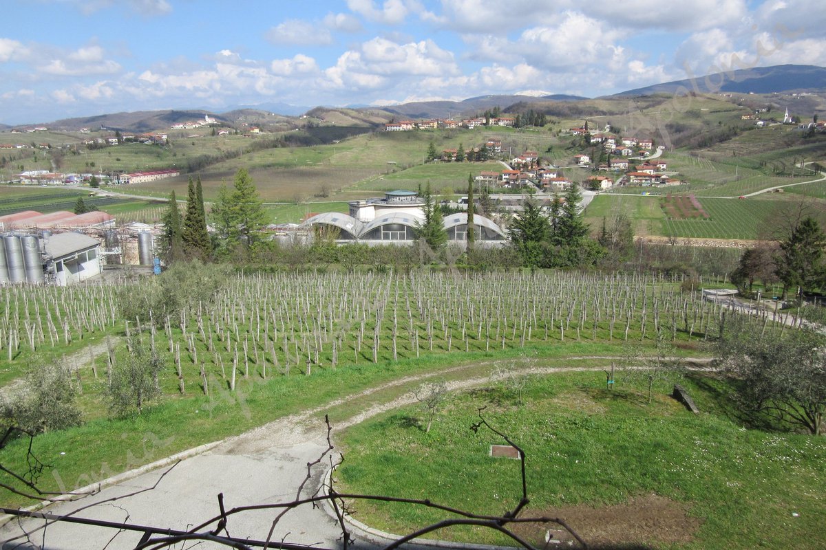 May your weekend be filled with sunshine, smiles, and sweet moments. Take time to relax, recharge, and do what makes your soul shine.Happy Saturday! 🙂