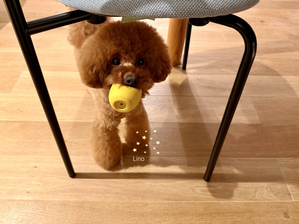 見つめて見つめられて…
スローボールに愛を込めて😘
Happy Valentine’s Day 💖

#マリン旅