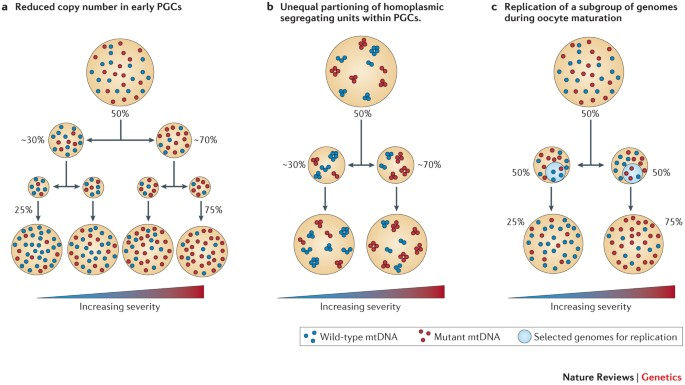Dr Sam Soete tweet media