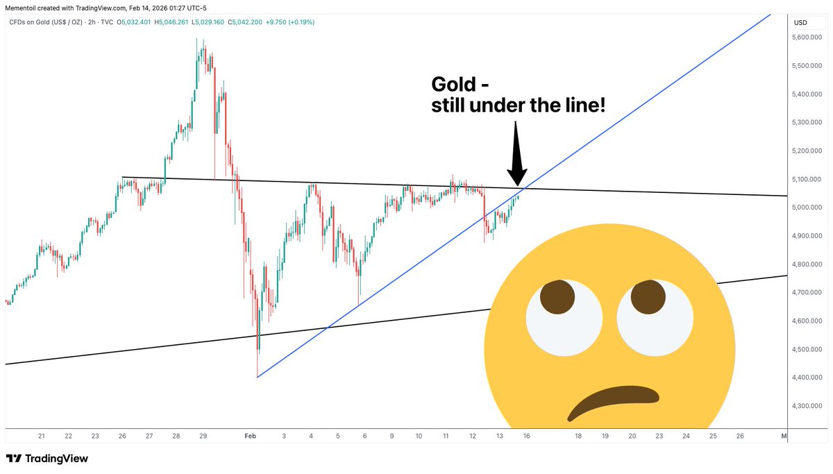 Oren Elbaz tweet media