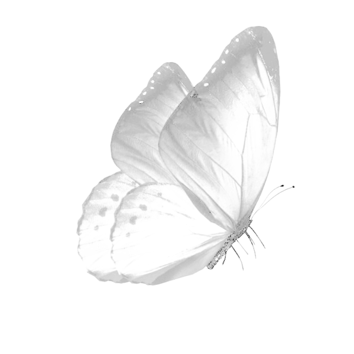 TENEBRAEV0X's tweet photo. ❛ ℑ 𝔡𝔬 𝔫𝔬𝔱 𝔫𝔢𝔢𝔡 𝔱𝔬 𝔠𝔩𝔞𝔦𝔪 𝔡𝔬𝔪𝔦𝔫𝔦𝔬𝔫… 𝔢𝔳𝔢𝔯𝑦𝔱𝔥𝔦𝔫𝔤 𝔦𝔫𝔢𝔳𝔦𝔱𝔞𝔟𝔩𝑦 𝔟𝔢𝔠𝔬𝔪𝔢𝔰 𝔪𝔦𝔫𝔢. ❜ https://t.co/jZeK1CUfQv