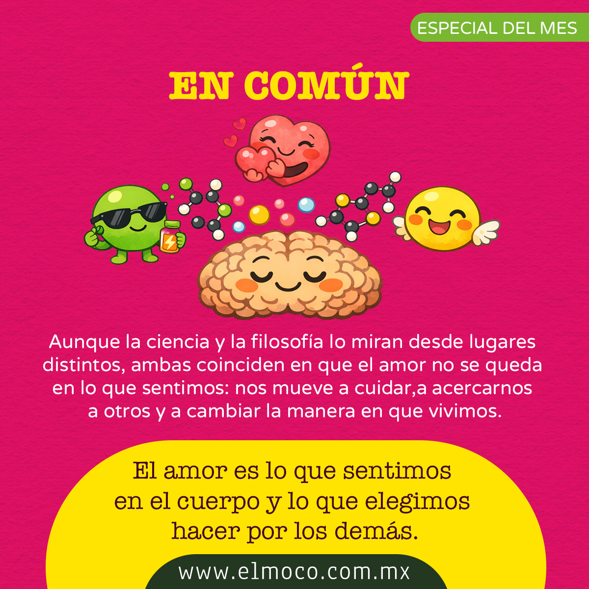 ElMocoMX's tweet photo. También es química en tu cerebro… y una decisión diaria de cuidar, compartir y buscar el bien del otro.

Entre la ciencia y la filosofía, el amor se entiende mejor: se siente en el cuerpo, pero se construye con lo que hacemos. 💛

#ElMoco #14DeFebrero #Amor #CienciaParaNiños https://t.co/hlAHYHG5aW