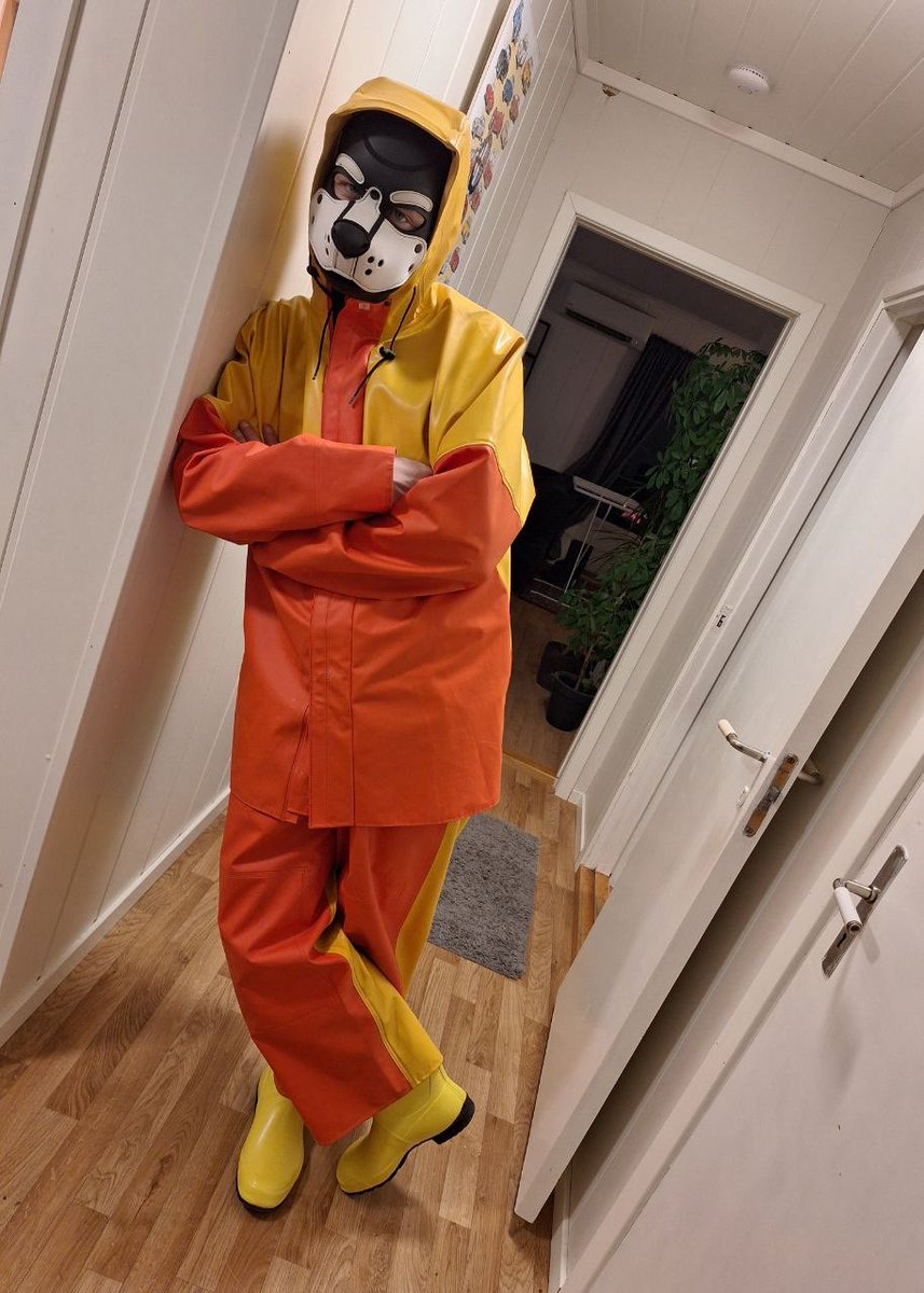 I just had to take the time for some fun🐶