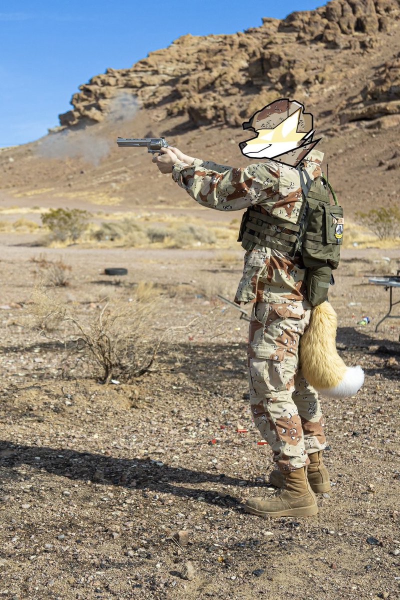 aster_foxxo's tweet image. Sorry, but guns are cool