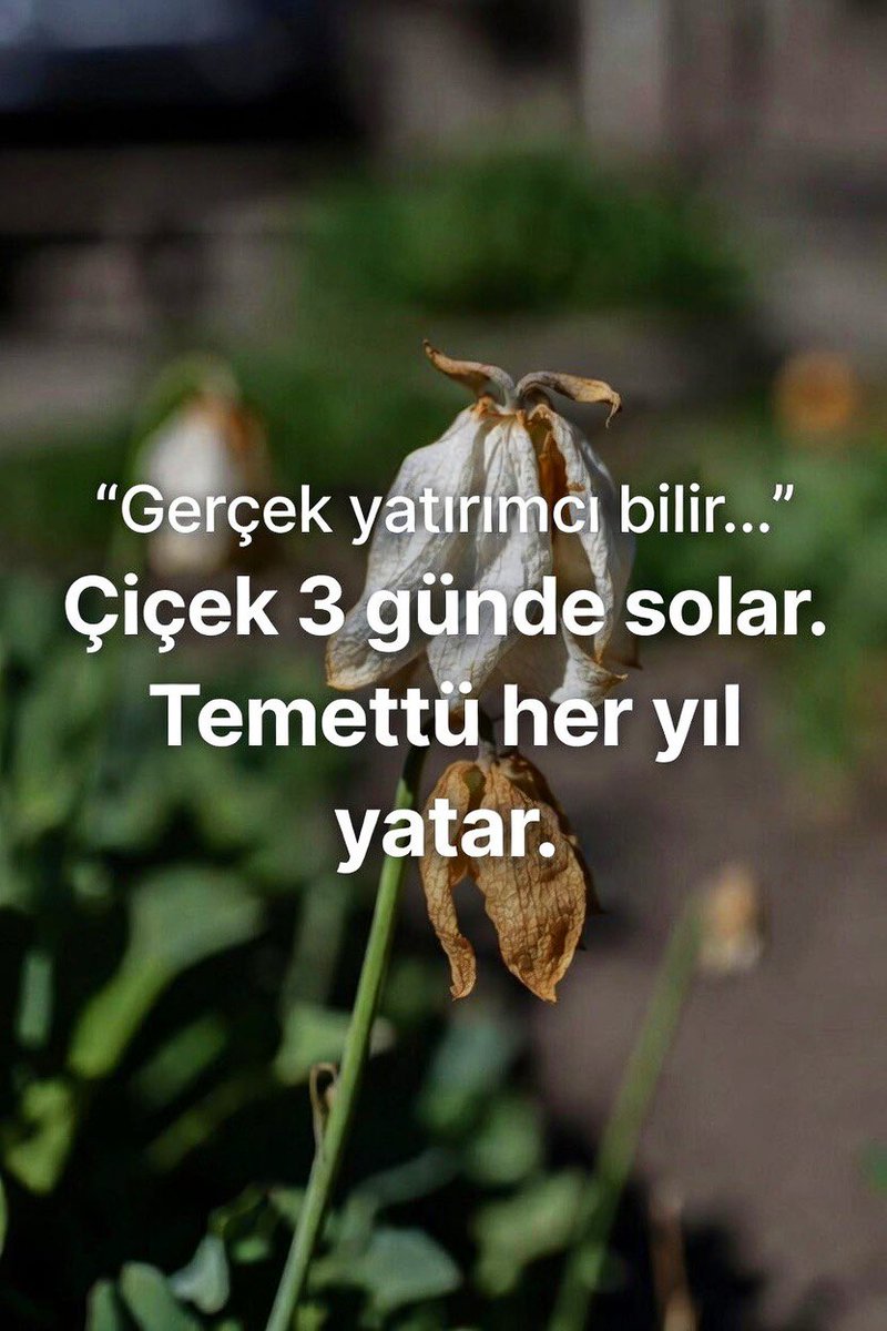 ArzdanKontak's tweet image. Çiçek 3 günde solar.
Temettü her yıl yatar. 😅

   #14subatsevgililergunu