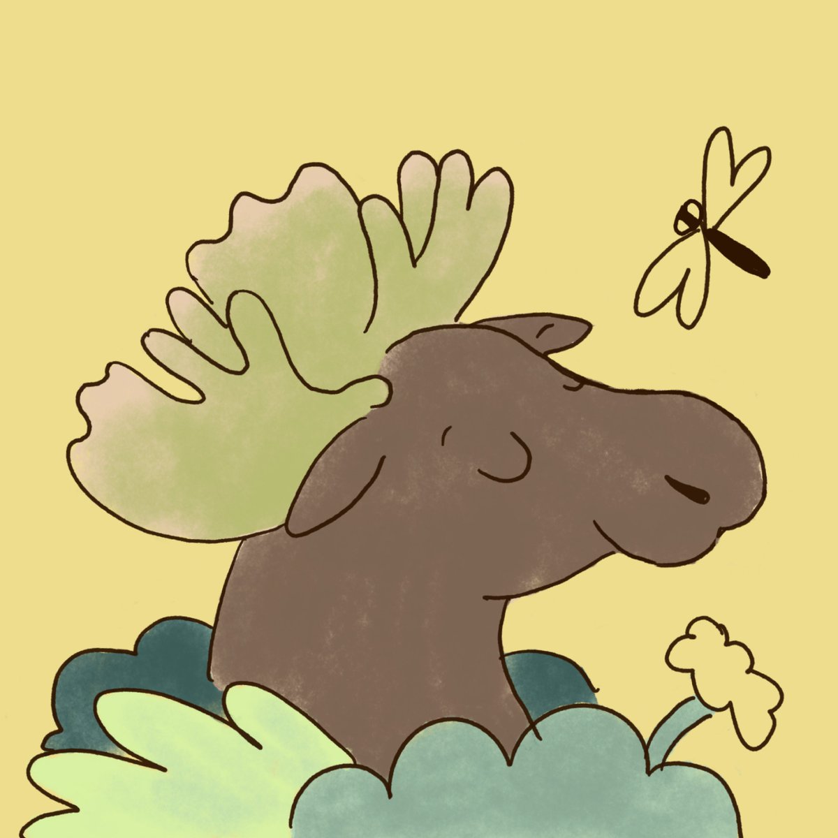 yousof keshavarz(O,G) (@ykeshavarz58) on Twitter photo 