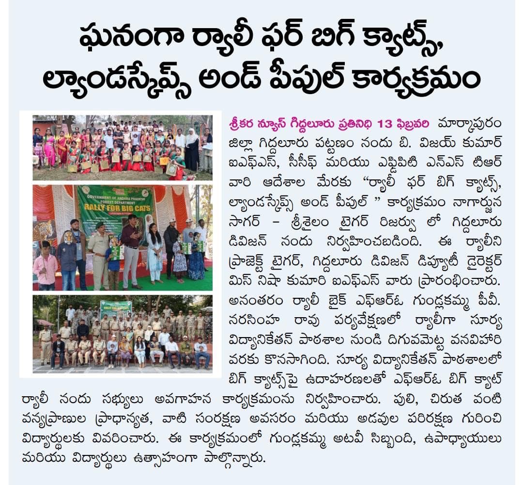 International Big Cat Alliance (IBCA) tweet media