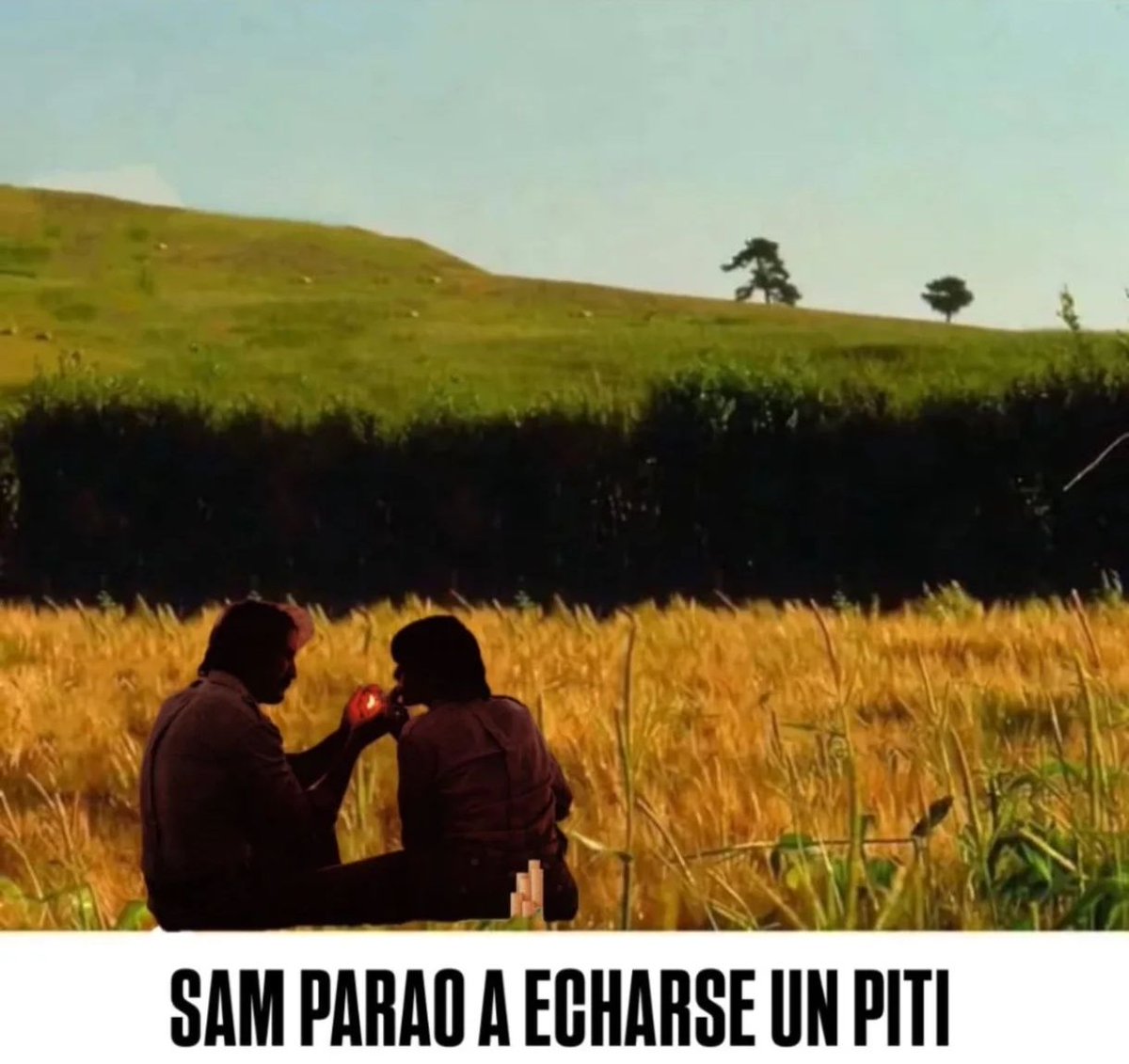 vicuuu ..̯ (@vicuuumissu) on Twitter photo 