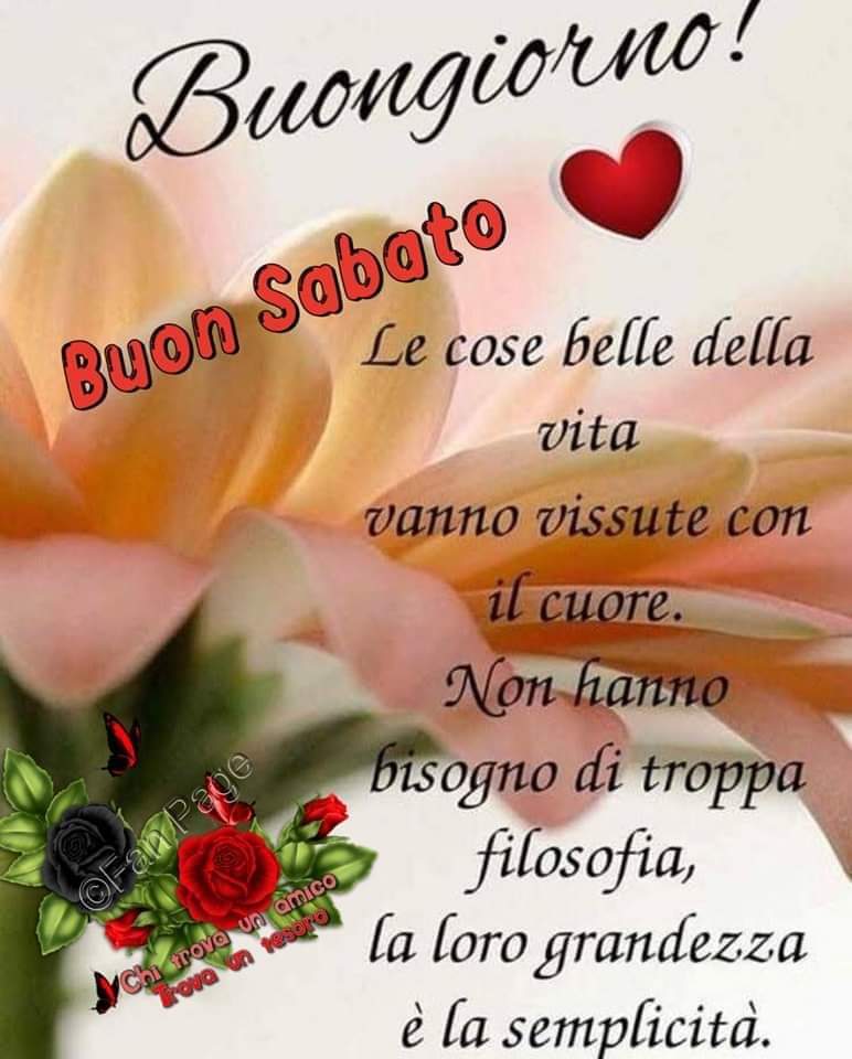 Marianna tweet media