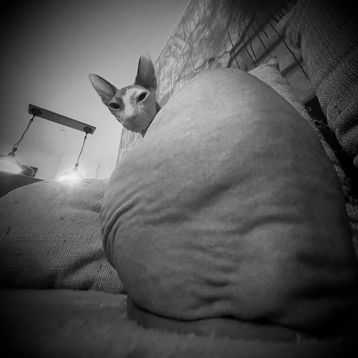 LogiBob (@logeebob) on Twitter photo 