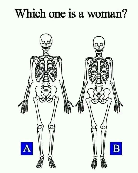 Which one is a Woman?