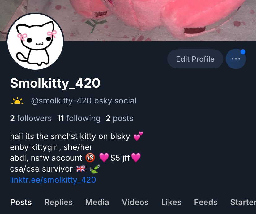 Heyy stinkiess im also on bluesky if you are to consider giving me a follow 😛💕

bsky.app/profile/smolki…