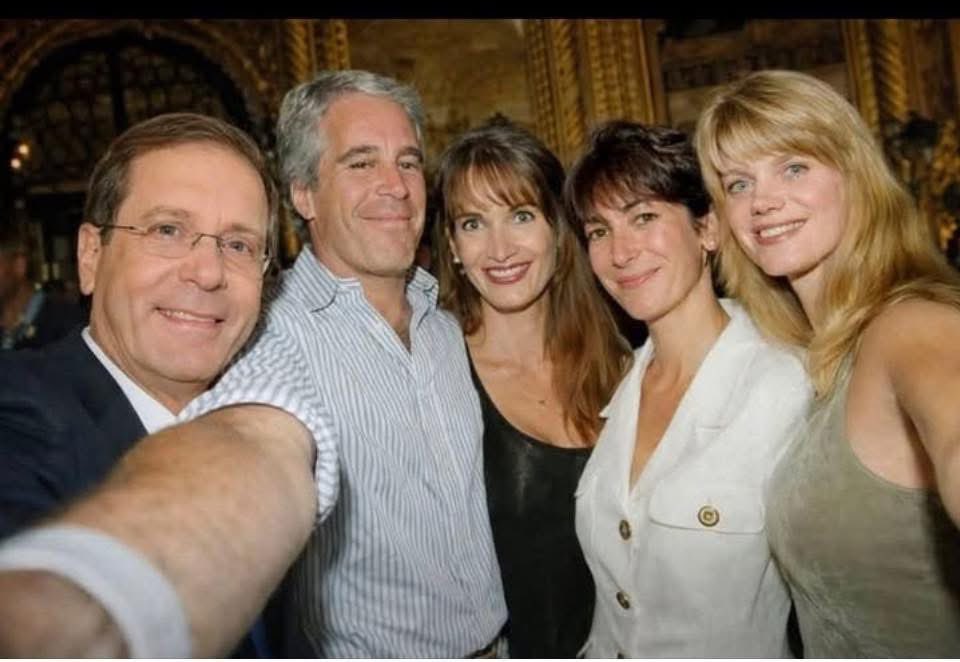 Australian police assaulted civilians for Issac Herzog. #auspol