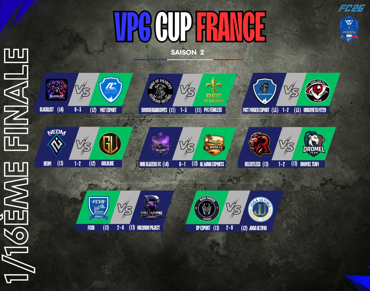 VPG France tweet media