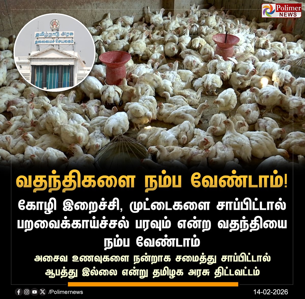 #NEWSUPDATE || பறவைக் காய்ச்சல் பற்றி வதந்திகளை நம்ப வேண்டாம் - தமிழக அரசு | #TNGovt | #BirdFlu | #PolimerNews