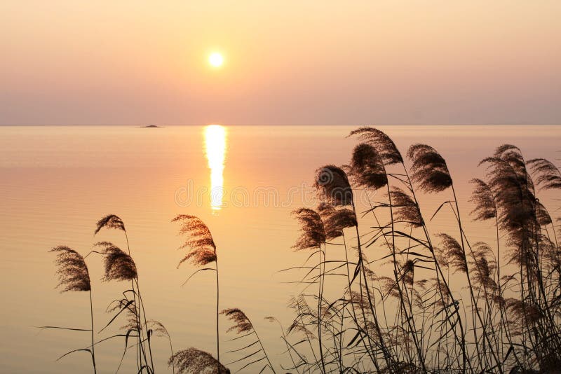 Good afternoon, everyone! ☀️ May the rest of your day be as bright and beautiful as this sunshine. How's your afternoon going? 🌿 #GoodAfternoon