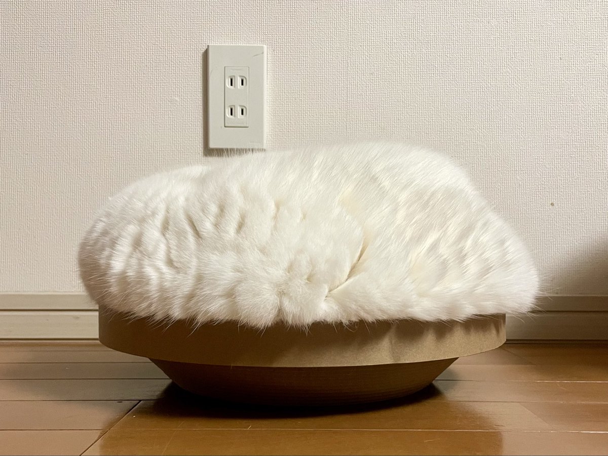 ラフ(白猫)のサイズには合ってないような気がします