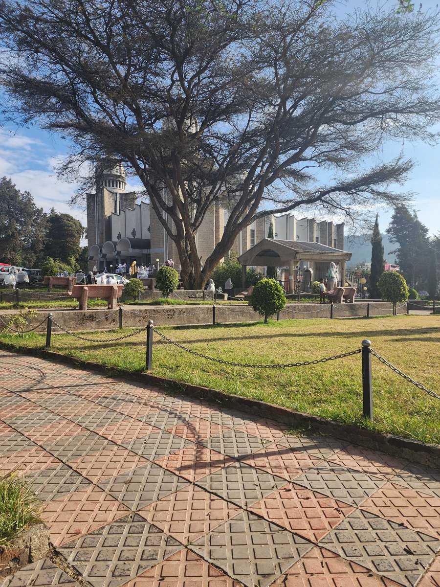 አጋፋሪ tweet media