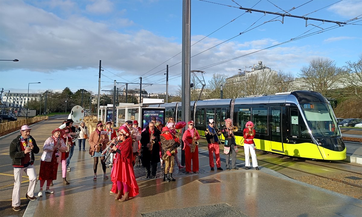 transbus.org tweet media