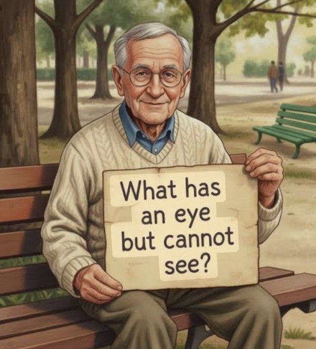 Nova 🅧 🇺🇸 tweet media