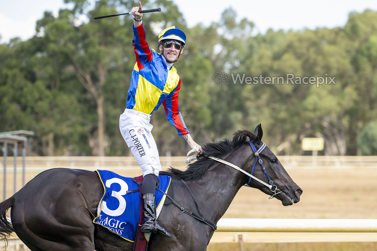 WesternRacepix's tweet photo. TWISTED STEEL - 2026 Magic Millions WA 3YO Trophy @PinjarraPark #WesternRacepix #PinjarraRaces #MagicMillions 

More 📷 https://t.co/XhRFkk00xX https://t.co/p4loF98VlH
