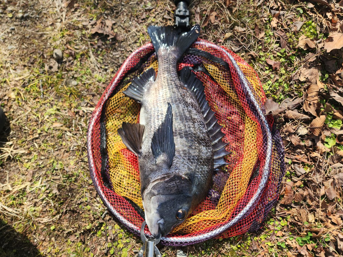 ツヨっさん tweet media