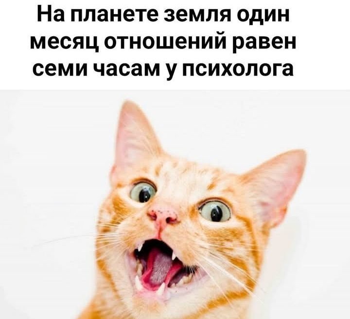 TykvaSP's tweet photo. https://t.co/NQwpRE8LR6