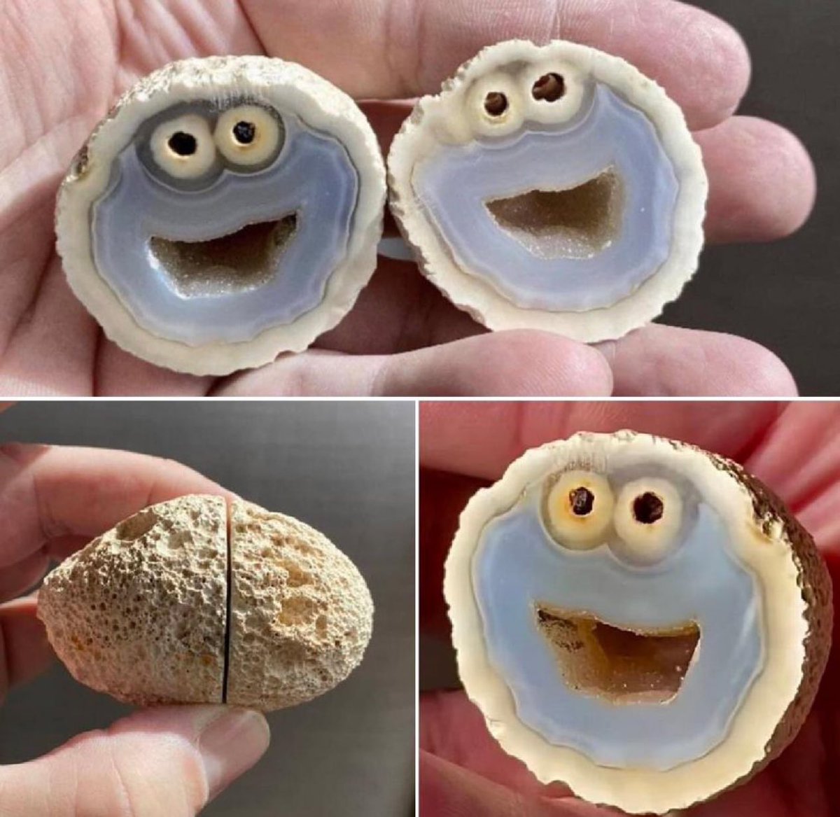 Geologist finds rare formation inside volcanic rock that looks exactly like ‘Cookie Monster’ on Sesame Street