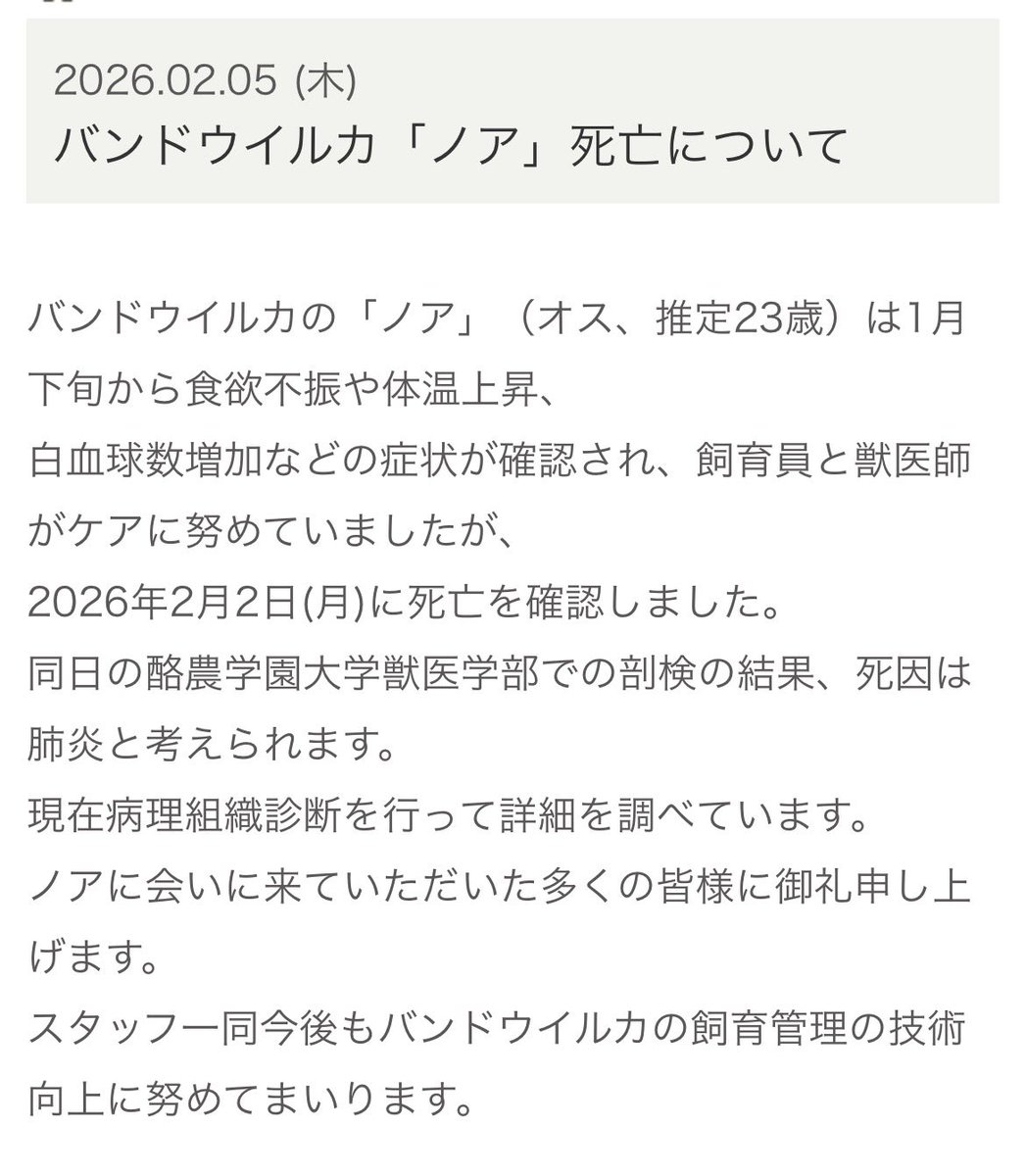 おたる水族館は2月5日ハンドウイルカの「ノア」が、2月2日に亡くなった事を発表しました
otaru-aq.jp/choineta/news/…