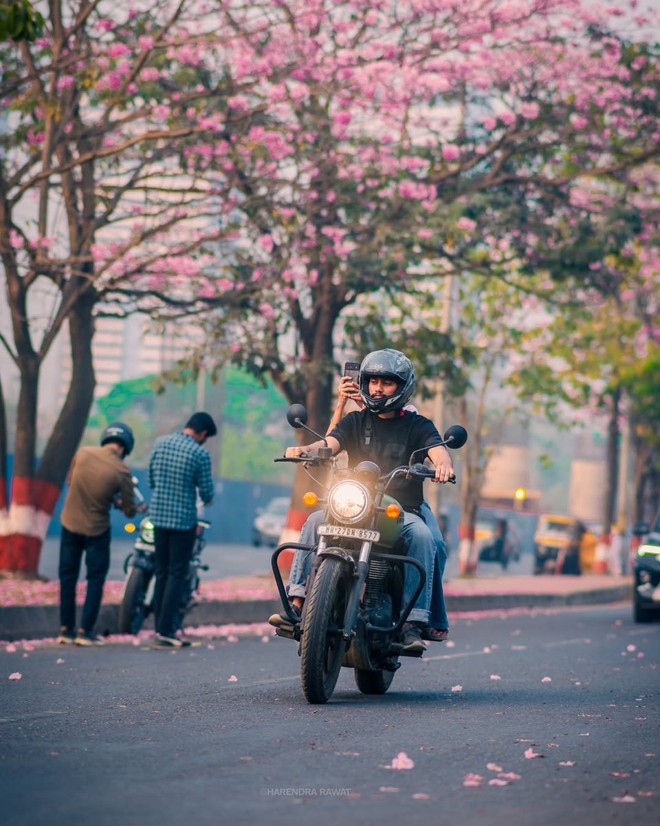 Go Homestays tweet media