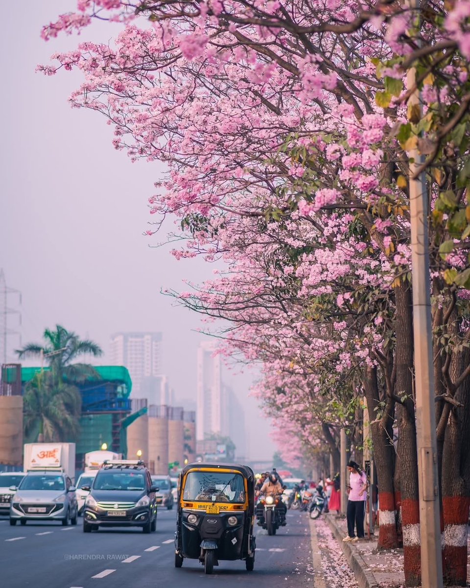 Go Homestays tweet media