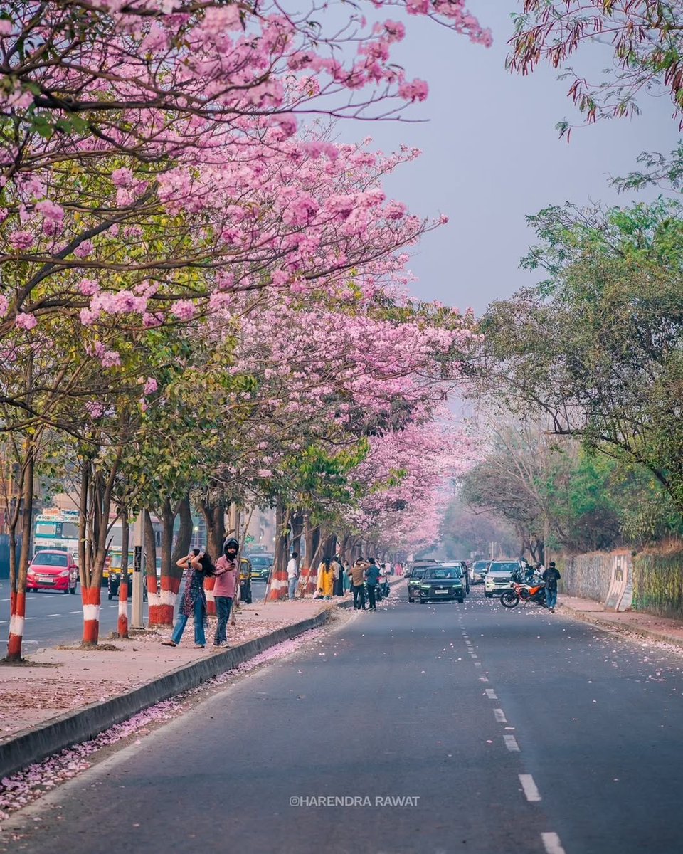 Go Homestays tweet media