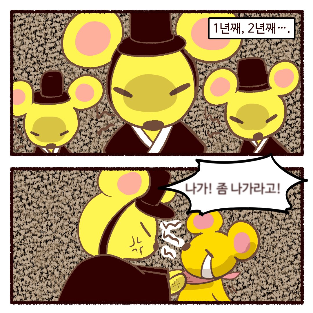 엘레꼴레(ElleColle)통합공지계 tweet media