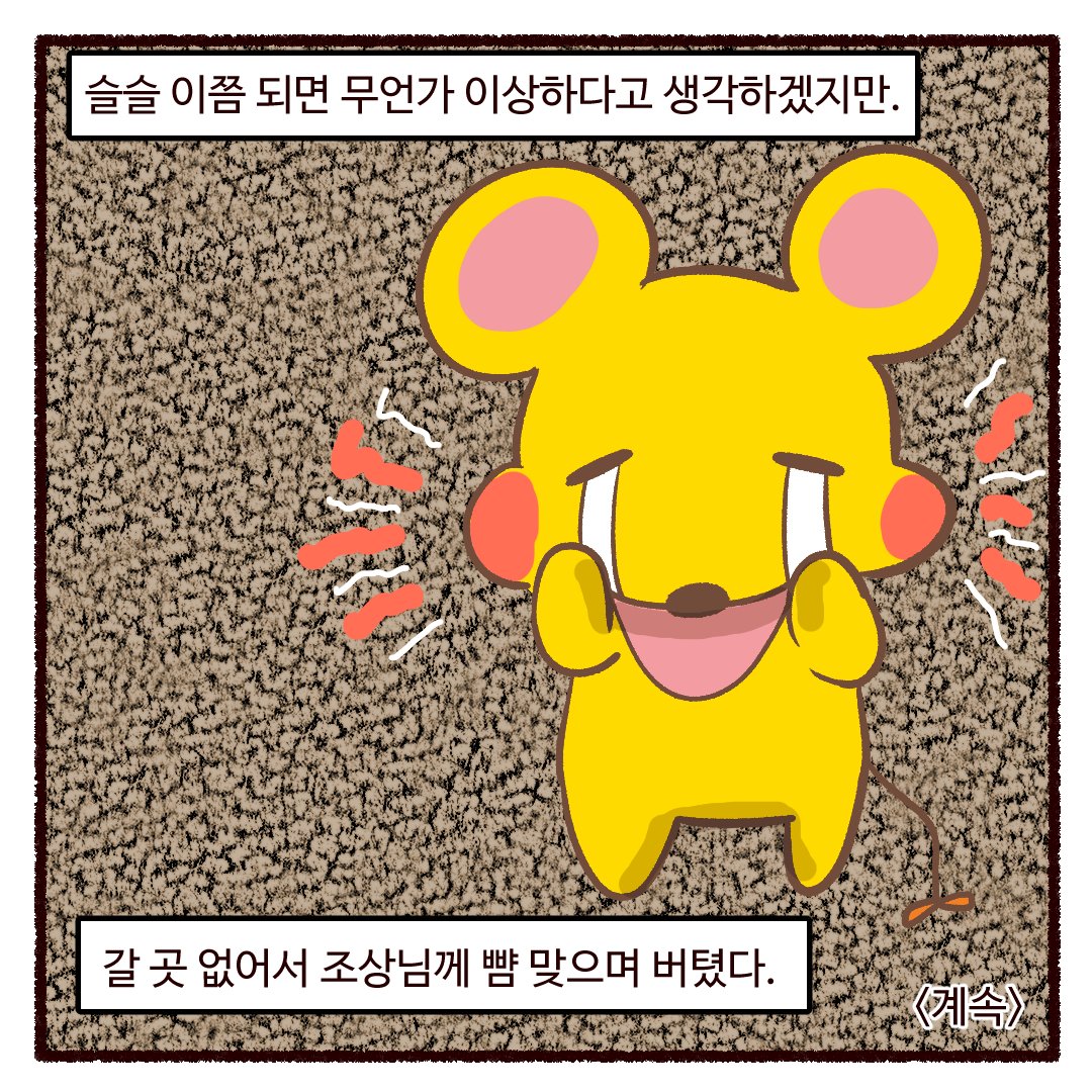 엘레꼴레(ElleColle)통합공지계 tweet media