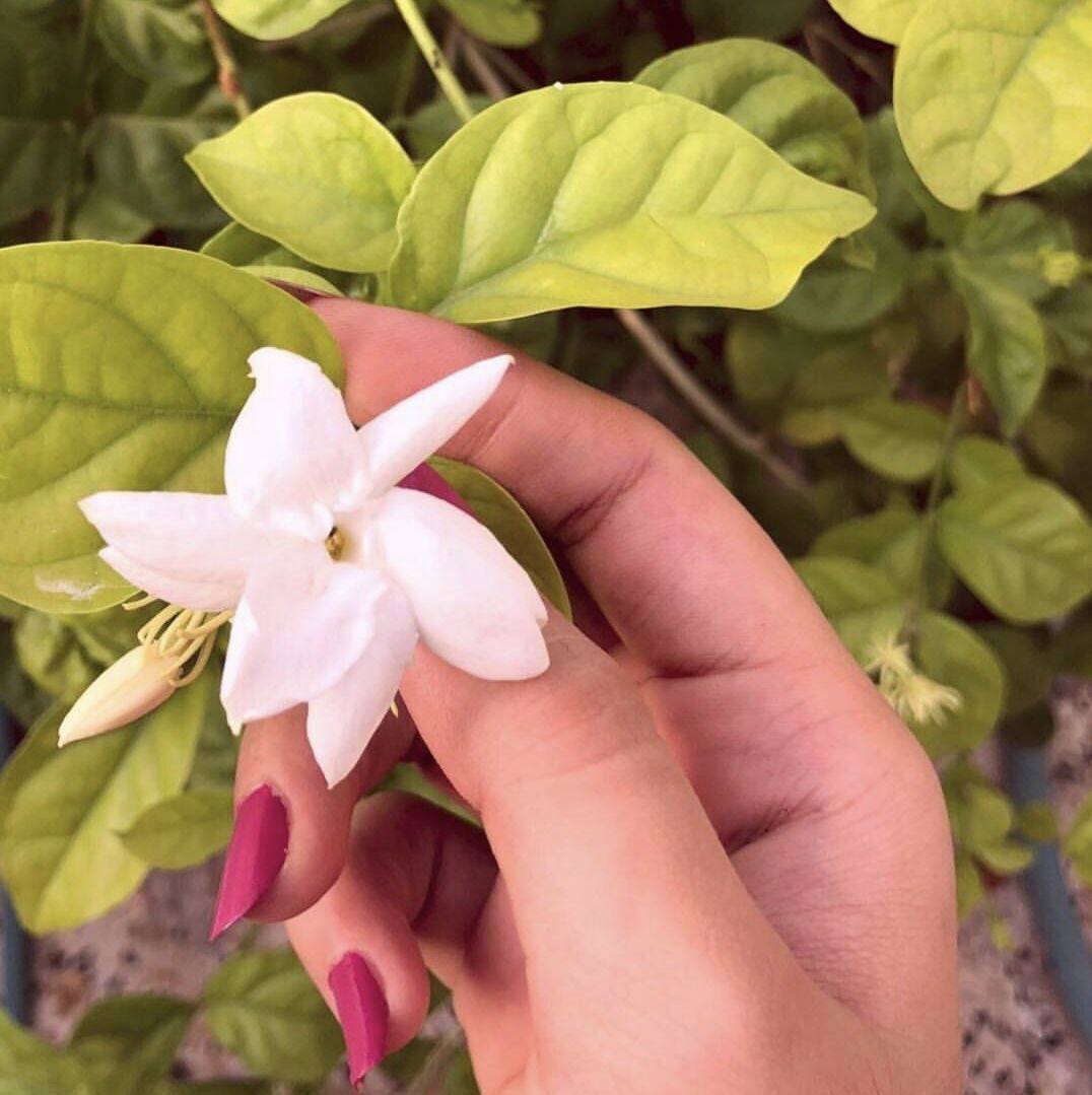 اِنغمس فيما تُحب ، فهناك تُشفى دون أن تشعر🤍