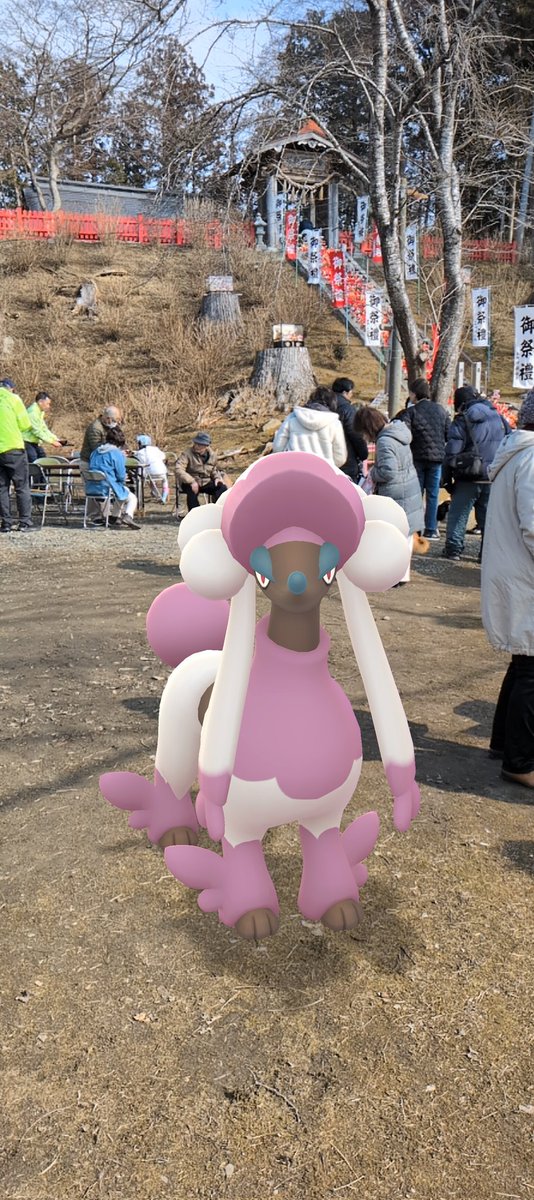 shyrimina's tweet photo. 2月14日(土)朝んぽに相棒が増えたポケモンGOの相棒（笑）松澤神社のお雛様も一緒 https://t.co/5pGYVV3J9l