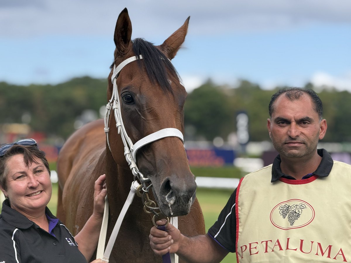 Chris Waller Racing tweet media